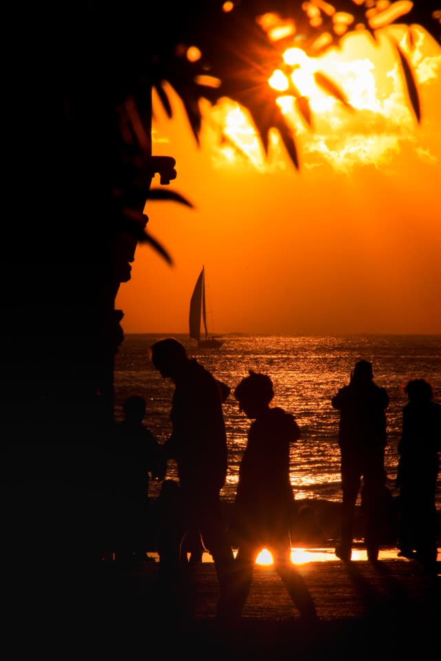People in silhouette on the shore at sunset, a sailboat behind them and palm leaves above